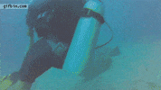 bites scuba GIF