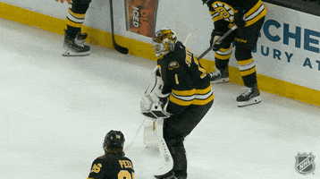 Sliding National Hockey League GIF by NHL