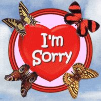 Sorry I Apologize GIF