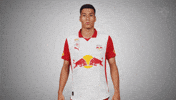 Number Turning GIF by FC Red Bull Salzburg
