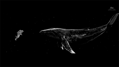space travel GIF