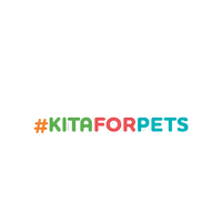Hi Five Smile Sticker by Pets Kita