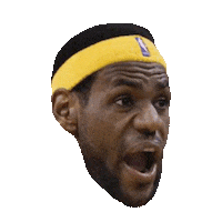 lebron james STICKER by imoji