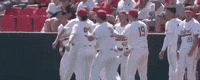 World Series Baseball GIF by NCAA Championships