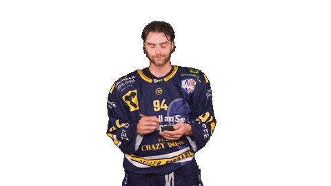 Zellamsee Ekz Sticker by EK Zeller Eisbären