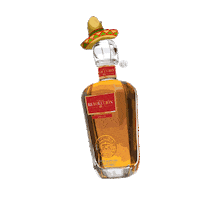 5demayo tequilahat Sticker by Tequila Revolución USA