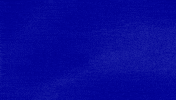 What The Hell Wtf GIF by Jeopardy!