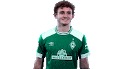 bundesliga go Sticker by SV Werder Bremen