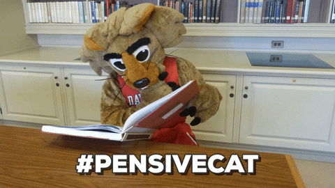 reading studying GIF by Davidson College