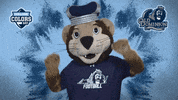 Happy College Sports GIF by College Colors Day