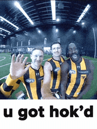 Afl Hawks GIF by Hawthorn Football Club