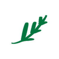 Christmas Sticker