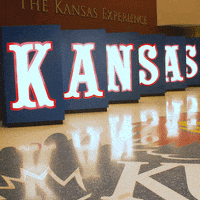Mascots Jayhawks GIF by University of Kansas