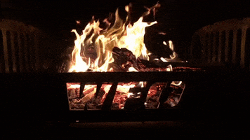 Wfo Fire Pit GIF by WFO CONCEPTS