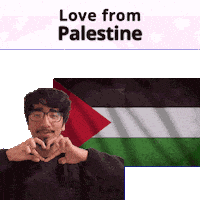 Ps Palestine Sticker