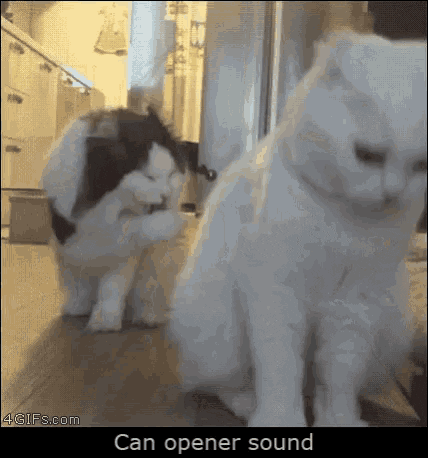 jimenapaolasosa giphyupload GIF