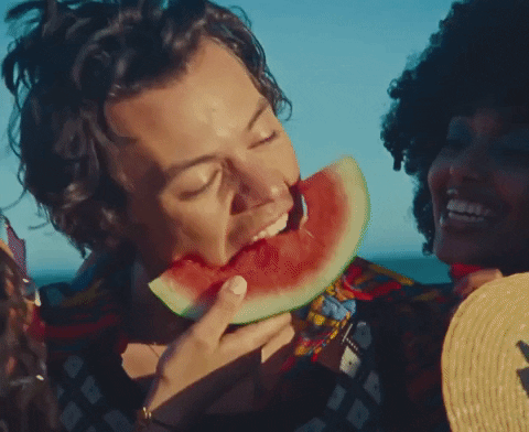 National Watermelon Day GIF by Harry Styles