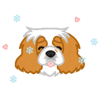 thelittledogpaw teddibearthecav Sticker