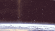 johnbeckers cat space cats pizza GIF