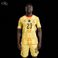 Fifa World Cup Ghana GIF by Respective