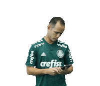 alejandro guerra soccer Sticker by SE Palmeiras