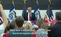 Joe Biden Trump GIF by GIPHY News