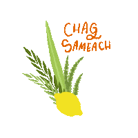 Shake It Sticker by Chabad on Campus