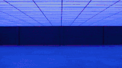 league of legends lol GIF