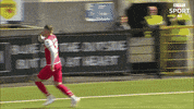 Celebration GIF by Cliftonville Football Club