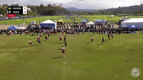 flikulti ultimate frisbee flik GIF