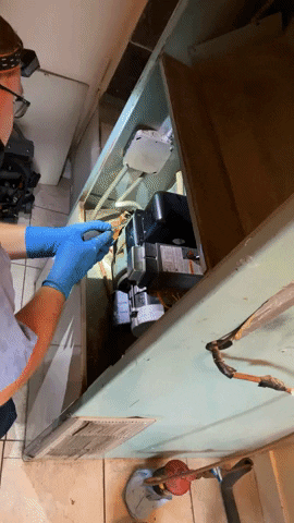 Raytay17 giphyupload GIF