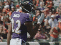 Happy National Football League GIF by Baltimore Ravens