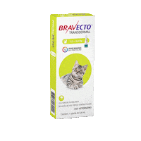 msdfamiliapet bravecto Sticker