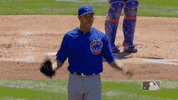 chicago cubs celebration GIF by MLB