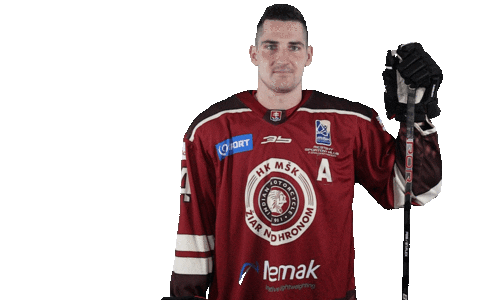 hkmskziar giphyupload viktor fekiac viktorfekiac Sticker