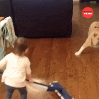 Girl Dogs GIF by BuzzFeed
