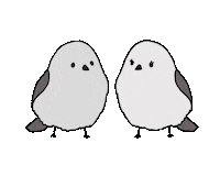 Happy Love Birds Sticker