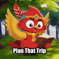 Travel Guide GIF by The Cardinal Virtue
