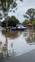Boaters Help Rescue Calf as Severe Flooding Hits Camden, New South Wales