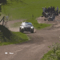 Full Throttle Motorsports GIF by FIA European Rally Championship