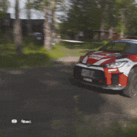 Motorsports Sweden GIF by FIA European Rally Championship