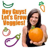 Veggies Gardening Sticker by Smart Healthy Green Living