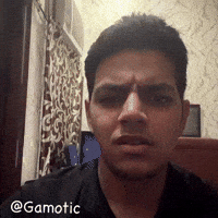 Gamotic wtf bruh dude thats crazy GIF