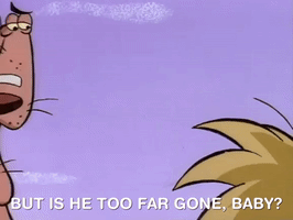 nickrewind nicksplat angry beavers GIF