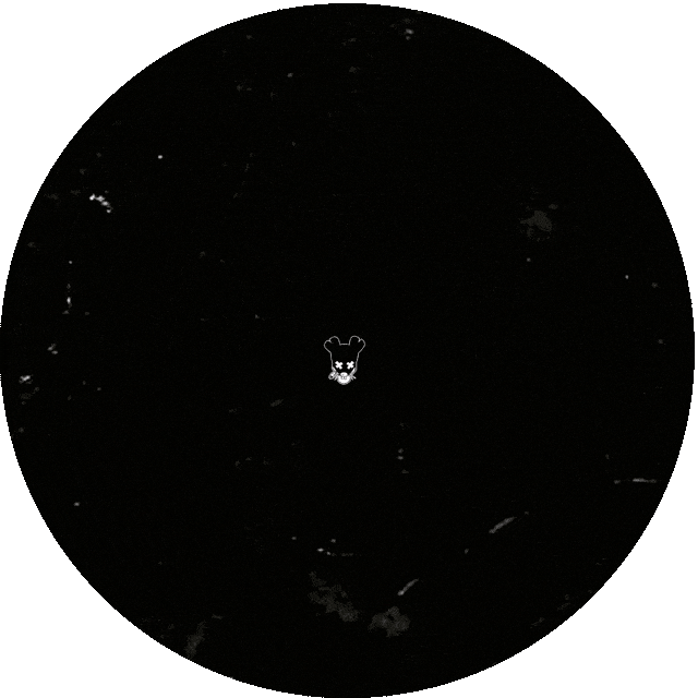 Skateboarding Snowboarding Sticker by Weaselrat