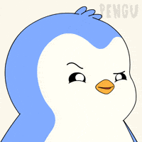 Who Is It What GIF by Pudgy Penguins