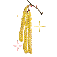 Coentron flowers hazel the other side yellow flowers Sticker