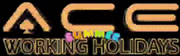 Aceworkingholidays summer ace ibiza partyhard GIF