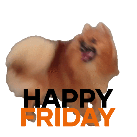 Dog Friday Sticker by CONCEPTX
