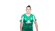 Emotion Werderfrauen Sticker by SV Werder Bremen